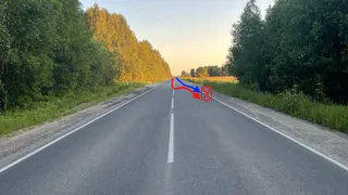 Девушка на Mitsubishi спровоцировала ДТП с мотоциклистом под Ухтой в Коми