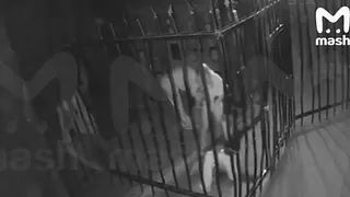 9-летняя девочка провалилась в двухметровую яму во время квеста в Москве