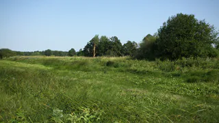 Рязанская область присоединилась к всероссийскому субботнику «Зеленая неделя»