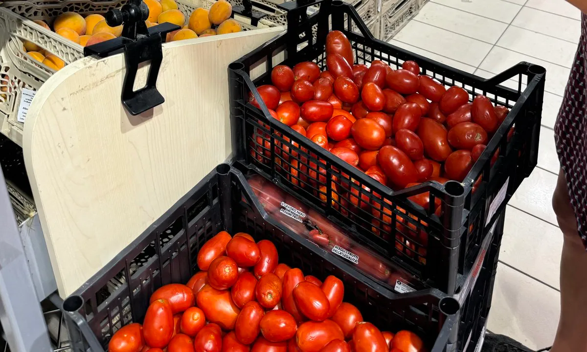 Выращиваем только эти 2 сорта помидоров — и нарадоваться не можем: слаще меда и весом под 1 килограмм