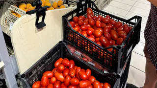 Выращиваем только эти 2 сорта помидоров — и нарадоваться не можем: слаще меда и весом под 1 килограмм