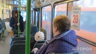 В России могут запретить высаживать на мороз безбилетников