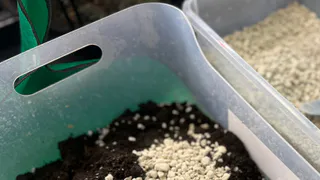 Каждый год рассыпаю по весне чудо-порошок по всему участку: в созон томаты, картофель и перец - все говорят спасибо