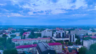 Антимонопольная служба Коми выявила массовые нарушения в рекламной сфере