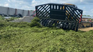 Коми внедряет инновации в кормопроизводство через эксперименты с культурами