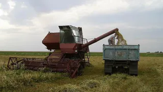 Брянские комбайны работают на износ