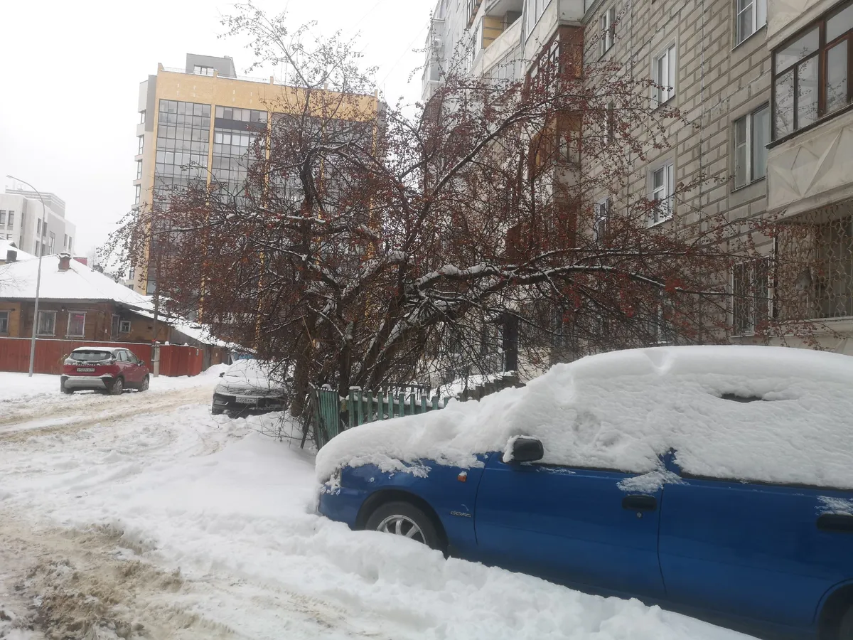 Нас ждет мощный удар холода и снегопада: точный прогноз на грядущую неделю по городам России