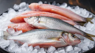 Ученые назвали самую полезную рыбу — не тунец, не палтус и в три раза полезнее семги