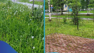 В Усинске коммунальщики улучшают городскую среду