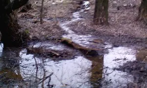 Народная жалоба - питьевая вода утекает в овраг