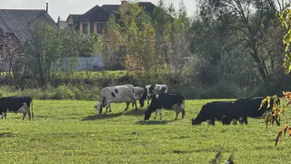Грядет самое контрастное лето за весь 21 век: метеорологи выставили прогноз - вот чего нам ждать
