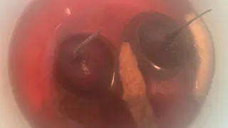 Перестала отваривать свеклу: друг повар из столовой научил готовить свеклу вкуснее и проще, как они у себя в ресторане делают