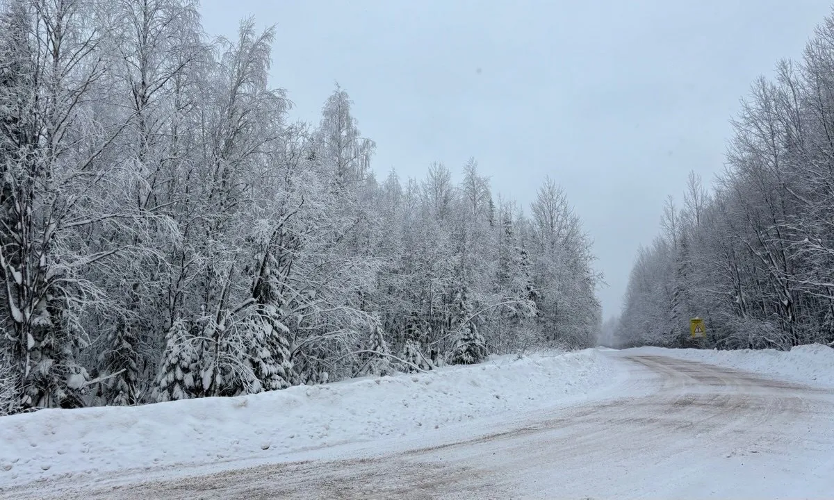 Весной ударят аномальные морозы, которые будут хлеще зимних. Синоптики дали новый прогноз на март и апрель