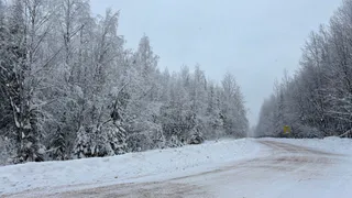 Весной ударят аномальные морозы, которые будут хлеще зимних. Синоптики дали новый прогноз на март и апрель
