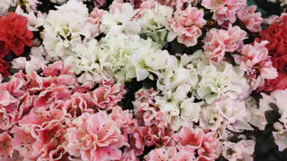 Территорию у мемориала погибшим летчикам в Рязани делают более благоустроенной