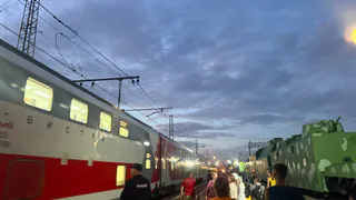 «Чего там только нет»: Египтяне проехались на российских поездах и просят у властей такие же