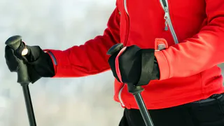 В Коми перед судом предстал похититель палок для скандинавской ходьбы