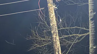 Рязанский Минтранс ответил на жалобу об отсутствии освещения в деревне