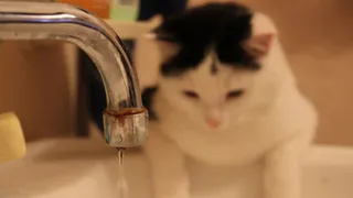 Запасайте ведра: со вторника в Рязани отключат холодную воду