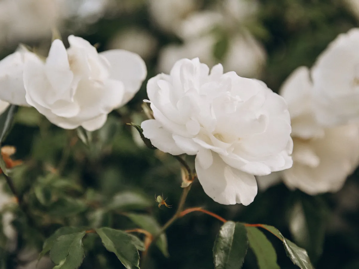 Гороскоп на 9 июля сулит страстные романы и советует избегать суеты