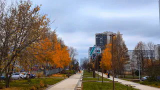 Прогноз погоды в Нижнекамске на вторник, 21 октября