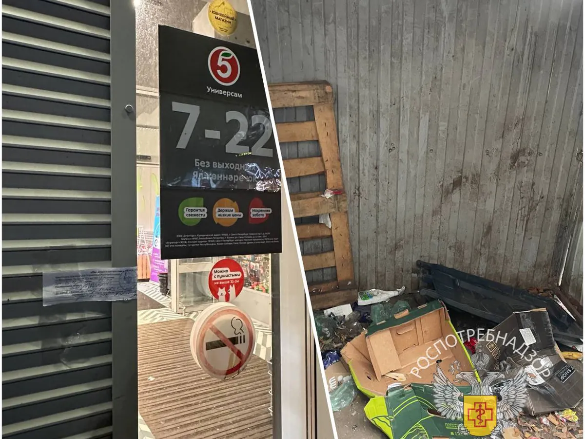 «Пятёрочку» в центре Казани закрыли на 20 суток из‑за нашествия крыс