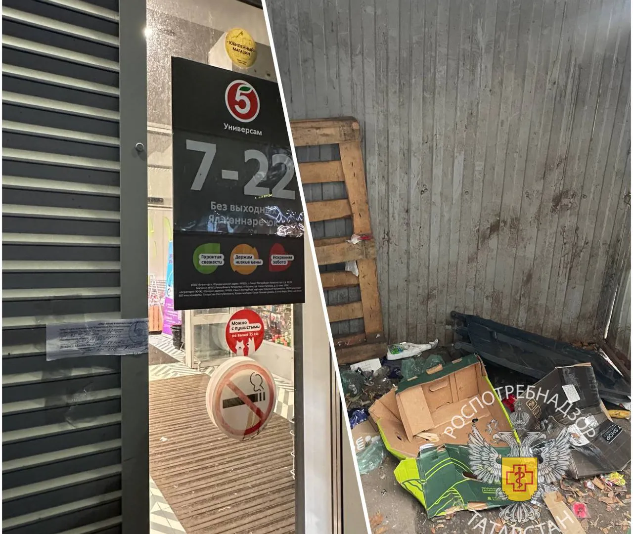 «Пятёрочку» в центре Казани закрыли на 20 суток из‑за нашествия крыс