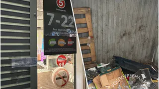 «Пятёрочку» в центре Казани закрыли на 20 суток из‑за нашествия крыс