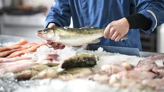 Цены на рыбу вырастут на 25 процентов