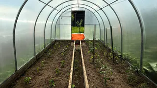 Правильно поливаем и спасаем от желтизны — вот как правильно ухаживать за огурцами: запомните раз и навсегда