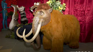 В Рязанском кремле думают, как назвать мамонта