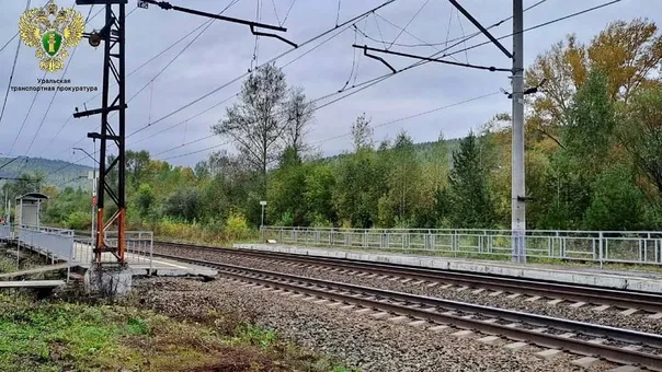 В Челябинской области произошла трагедия: под грузовой поезд попал пешеход