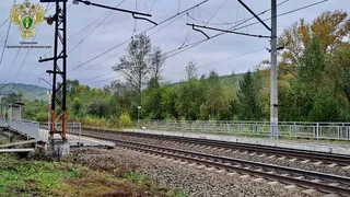 В Челябинской области произошла трагедия: под грузовой поезд попал пешеход