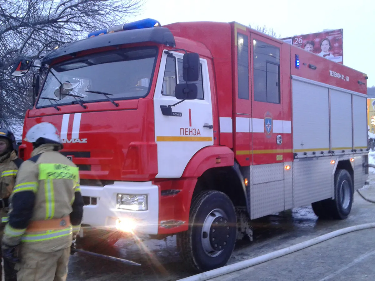 Следователи расследуют гибель жителя Лунинского района при пожаре