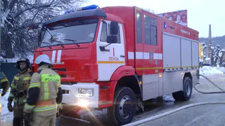 Следователи расследуют гибель жителя Лунинского района при пожаре