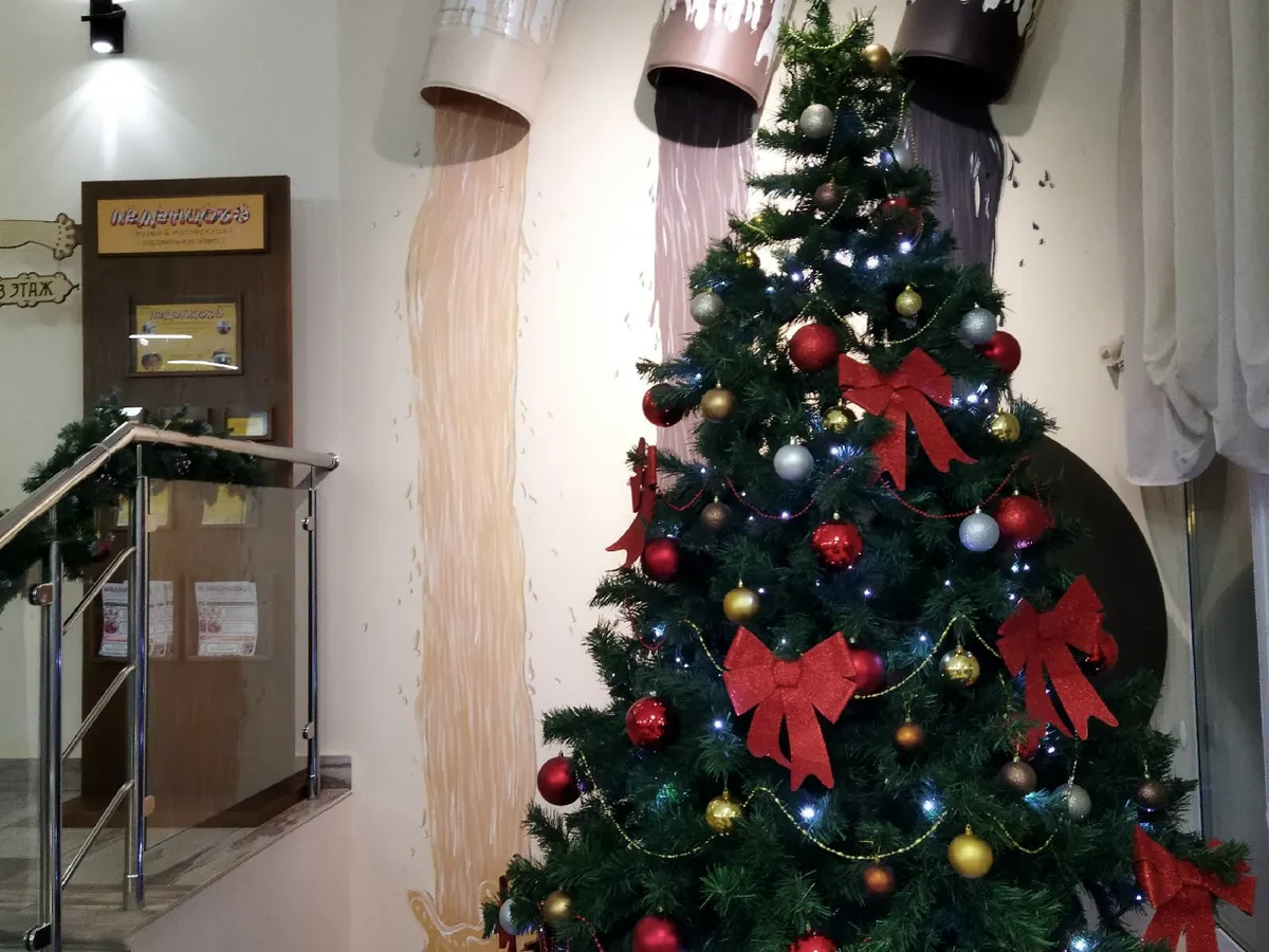 Нижнекамцам грозит штраф за новогоднее украшение подъездов