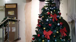 Нижнекамцам грозит штраф за новогоднее украшение подъездов