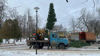 В Рязани приступили к установке главной городской новогодней ёлки