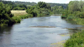 В Шиловском районе утонул 41-летний мужчина