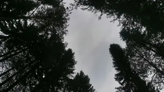 В Челябинской области наблюдается ухудшение пожароопасной ситуации