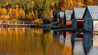 Почему у норвежцев нет огородов — хотя большинство из них живут в частных домах