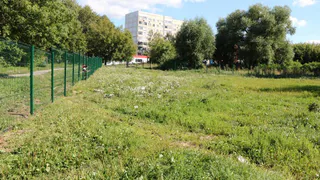 Пока это просто пустырь: в Рязани открыли площадку для выгула собак