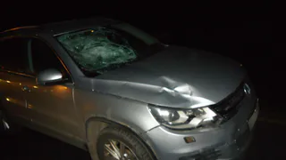 В Рыбновском районе рязанец на иномарке сбил пешехода