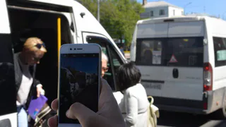 «Приходят совсем не те автобусы»: горожане жалуются на работу информационного табло