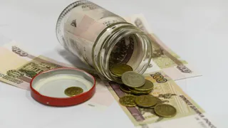 В Брянске нашли деньги на поддержку льноводства и сельхозкооперации