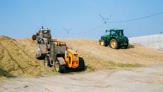 3 округа Чувашии получили по 150 тысяч рублей на благоустройство