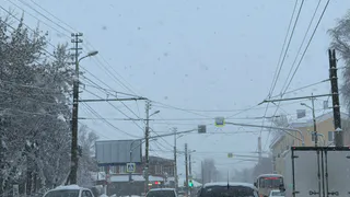 Рязанскую область накроет снегопад и усилится ветер до 17 м/с 