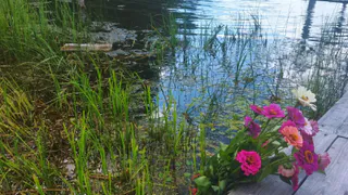В Рязанской области сотрудники МЧС достали из воды тело человека
