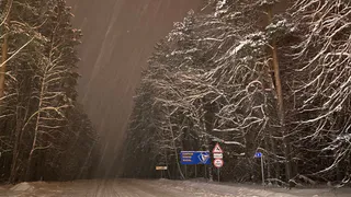 Нас ждет волна лютого холода и сильные снегопады: точный прогноз на грядущую неделю