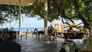 "Мерзкие люди, грязное море": туристы дали честный отзыв о курортах Черного моря